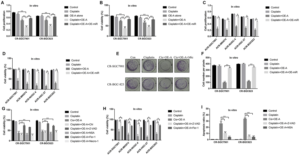 LncRNA ADAMTS9-AS2 regulated chemoresistance of GC cells to cisplatin by modulating cell pyroptosis. CCK-8 assay was performed to determine cell proliferation abilities in (A) CR-GC cells and (C) ACR-GC cells. Trypan blue staining assay was conducted to measure cell viability in (B) CR-GC cells and (D) ACR-GC cells. (E, F) Colony formation assay was used to detect colony formation abilities of CR-SGC7901 cells and CR-BGC-823 cells. Cell viability in (G) CR-GC cells and (H) ACR-GC cells were detected by trypan blue staining assay. (I) FCM assay (Related to Supplementary Figure 1) were performed to determine cell apoptosis ratio in CR-GC cells. (“OE-A” represented “overexpressed LncRNA ADAMTS9-AS2”, “OE-miR” represented “overexpressed miR-223-3p”, “Mic” represented “miR-223-3p mimic”). Each experiment repeated at least 3 times. “NS” represented “no statistical significance”, *P P 