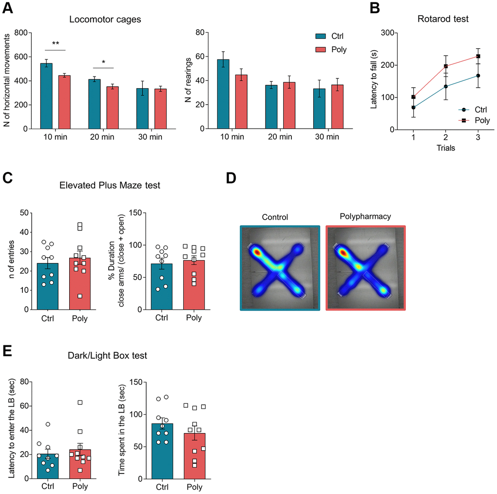 Locomotor activity and anxiety-like behavior in control and polypharmacy treated mice. (A) Locomotor activity and explorative behavior: histograms show horizontal and vertical (rearing) activity measured in OF cages and analyzed per time intervals of 10 minutes over a total duration of 30 minutes. Interaction between time and treatment groups were analyzed with two-way ANOVA repeated measurements test; *p≤0.05, **pB) Rotarod test: average of latency to fall measured during the 3-trial session. (C, D) EPM test: dot plots show the number of entries and percentage of time spent in closed arms. Heatmaps represent color-coded areas of the maze, where red zones indicate the area which the mice explored the most (maps are showed as control and polypharmacy group average). (E) DLB test: dot plots display first latency to enter the LB and time spent by the mice exploring that compartment. All data are presented as mean ± SEM. Animals per group: n= 9 control, 10 polypharmacy. Ctrl= control, Poly= polypharmacy.