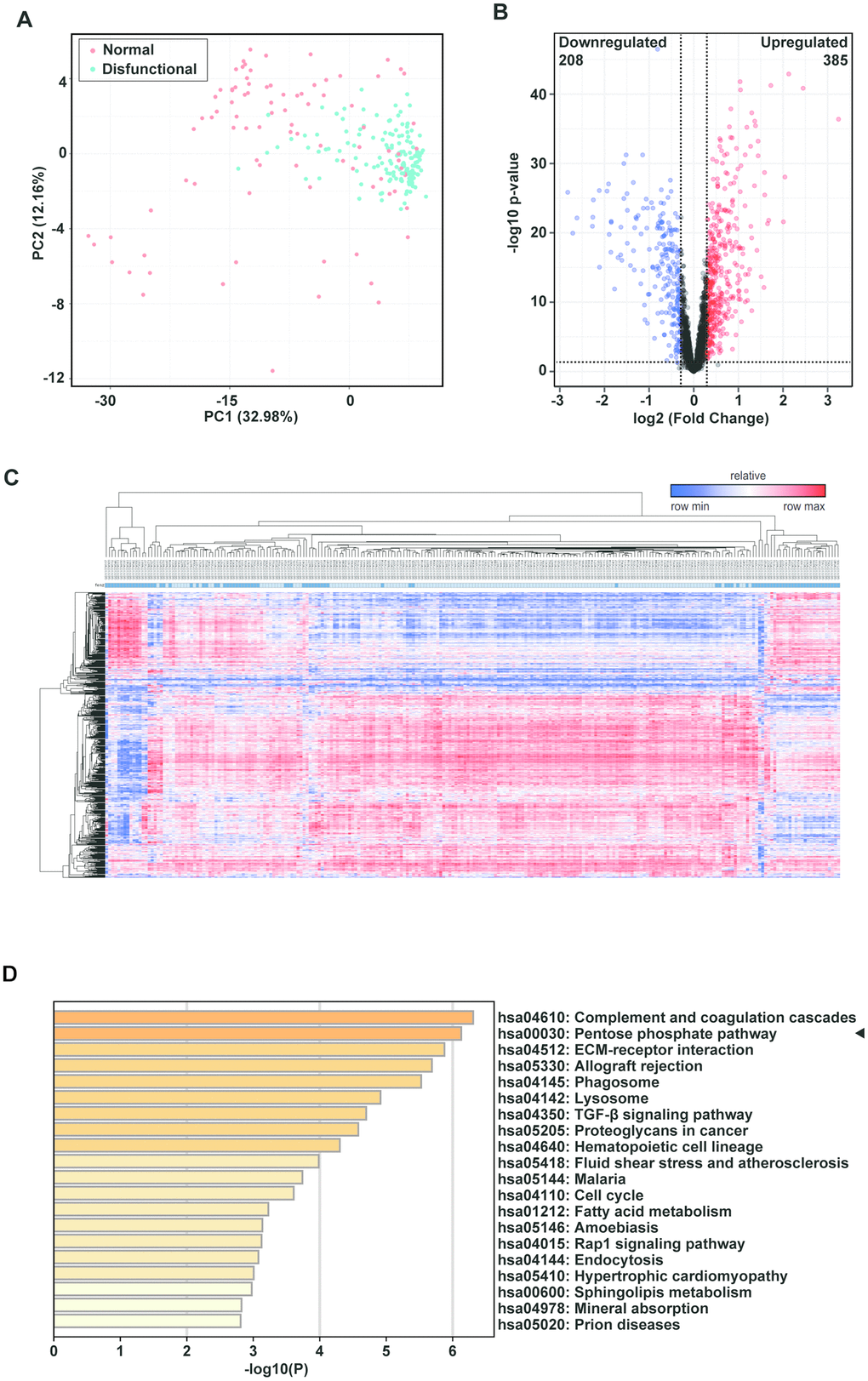 The pentose phosphate pathway is enriched in tracheal transplantation allografts. (A) Principal component analysis (PCA) plot of clinically-normal and -dysfunctional lung transplant biopsies in this dataset. The red dots represent the normal group while the green dots represent the dysfunctional group. (B) Volcano plot showing DEGs with p  1.23; a total of 385 upregulated genes are represented by the red dots and 208 downregulated genes are represented by the blue dots. The black dots corresponds genes whose expression did not change. (C) Heatmap of lung transplant biopsies between the two indicated groups was obtained by unsupervised hierarchical clustering of DEGs and samples. Red indicates increased gene expression, whereas blue indicates decreased gene expression. (D) KEGG pathway enrichment of upregulated DEGs. The shades of the yellow bar correspond to -log10 (P), and the pentose phosphate pathway shows enrichment.