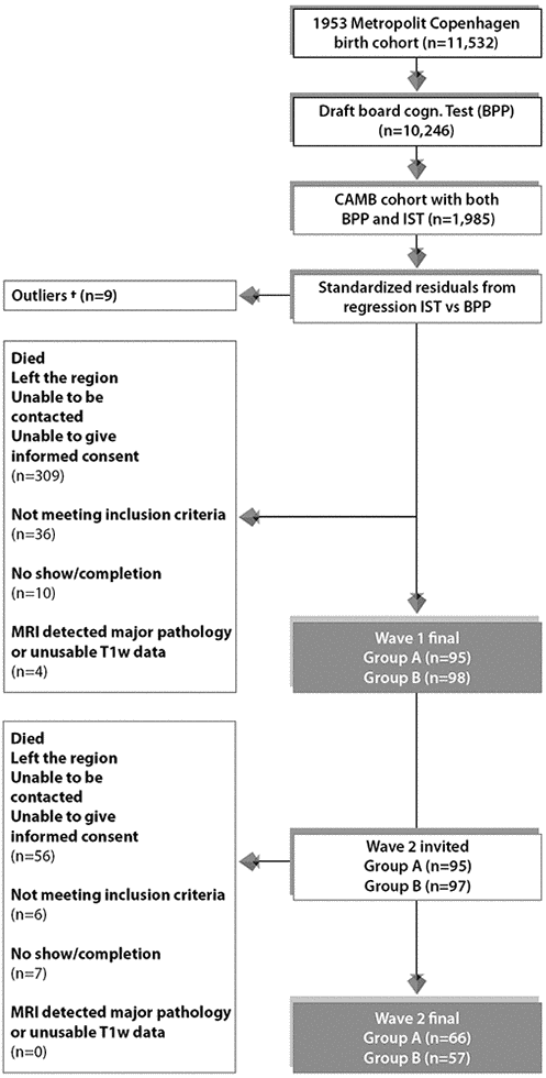 Subject selection process for Wave 1/W-57 and Wave 2/W-63. To avoid effects of extreme test scores, subjects with standardized residuals ±3 were omitted defined as here as †. The final sample size for the current study includes n=123 subjects who completed wave 1 and wave 2. Group A = 66 improvers and Group B = 57 decliners.