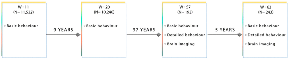 Flow diagram showing the data collected at each time point for subjects used in this present sub-study. W-11, W-20, W-57, and W-63 = data acquired at ages ~11, ~20, ~57 and ~63 respectively.