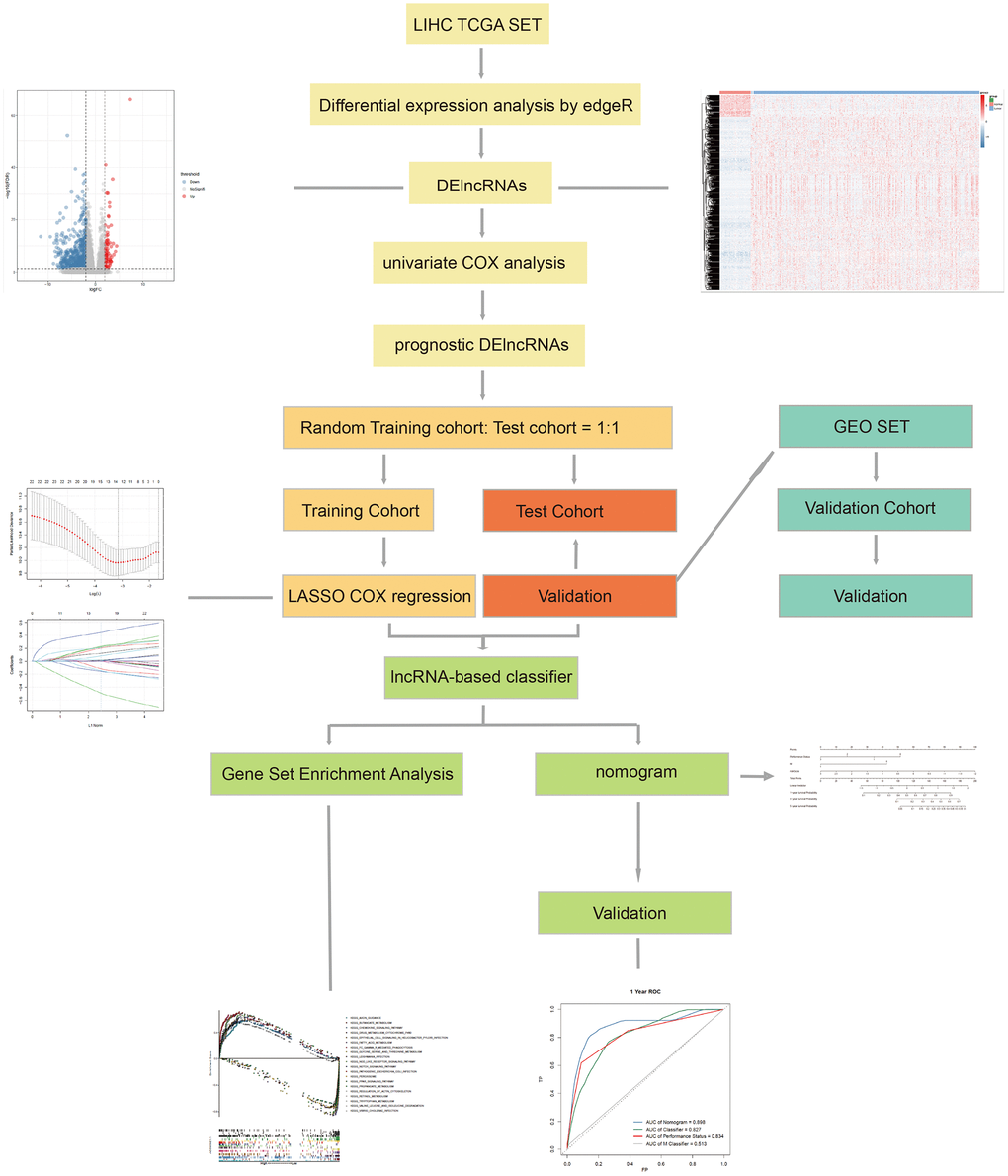 The workflow of this work.