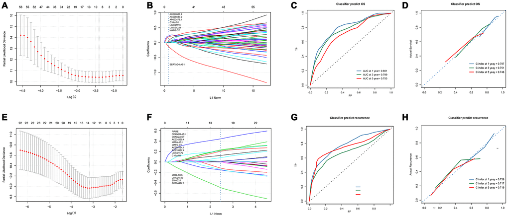 Development and verification of 8-lncRNAs-based and 14-lncRNAs-based classifiers. (A) LASSO coefficient profiles of the 86 Significant difference lncRNAs in OS set. A vertical line is drawn at the value chosen by 10-fold cross-validation; (B) Ten-time cross-validation for tuning parameter selection in the LASSO model; (C, D) Time-dependent ROC curves and calibration curves of 8-lncRNAs-based classifier; (E) Time-dependent ROC curves of Liao’s biomarker for overall survival; (F) LASSO coefficient profiles of the 21 Significant difference lncRNAs in recurrence set, A vertical line is drawn at the value chosen by 10-fold cross-validation; (G) Ten-time cross-validation for tuning parameter selection in the LASSO model; (H) Time-dependent ROC curves and calibration curves of 14-lncRNAs-based classifier. LASSO, least absolute shrinkage and selection operator method; lncRNA, long non-coding RNA; OS, overall survival; ROC, receiver operating characteristic.