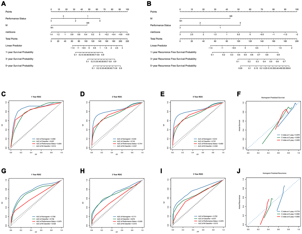 Development and verification of OS-nomogram and recurrence-nomogram. (A) OS-nomogram based on 8-lncRNAs-based classifier, TNM M classifier and Performance Status; (B) recurrence-nomogram based on 14-lncRNAs-based classifier, TNM M classifier and Performance Status; (C–E) The 1, 3, and 5-year Time-dependent ROC curves compare the prognostic accuracy of the OS-nomogram; (F) 1, 3, and 5 year calibration curve and C-index of the OS-nomogram; (G–I) The 1, 3, and 5-year Time-dependent ROC curves compare the prognostic accuracy of the recurrence-nomogram; (J) 1, 3, and 5 year calibration curve and C-index of the recurrence-nomogram. OS, overall survival; lncRNA, long non-coding RNA; ROC, receiver operating characteristic; C-index, concordance index.
