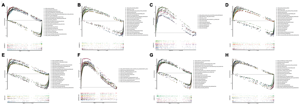 Gene set enrichment analysis of lncRNAs of overall survival related classifier. GSEA results showed in (A) AC090921.1, (B) AC096637.2, (C) AP002478.1, (D) C10orf91, (E) MAFG−DT, (F) SERTAD4−AS1, (G) LINC01116, and (H) LINC01224. GSEA, Gene set enrichment analysis.