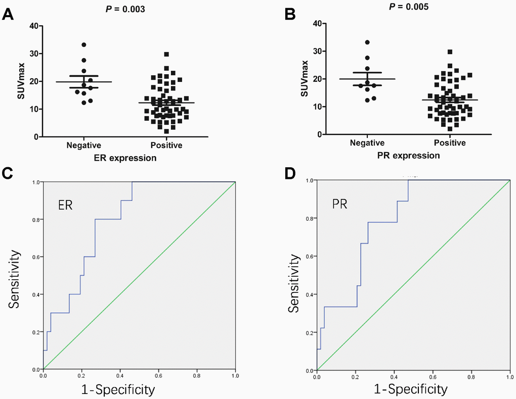 The association between 18F-FDG accumulation and ER/PR status in endometrial cancers (n = 62). (A) The association between 18F-FDG accumulation and ER status. Endometrial cancers in the ER-positive group had lower SUVmax than those in the ER-negative group (12.3 ± 6.2 vs. 19.9 ± 6.6, respectively; P = 0.003). (B) The association between 18F-FDG accumulation and PR status. Endometrial cancers in the PR-positive group also had lower SUVmax than those in the PR-negative group (12.4 ± 6.2 vs. 20.0 ± 6.9, respectively; P = 0.005). (C) ROC analysis of SUVmax for predicting ER status. When the cutoff threshold of SUVmax was 15.3, the sensitivity and specificity to predict ER expression were 73.1% and 80.0%, respectively. The area under curve was 0.8 (95% confidence interval: 0.679-0.921; P = 0.003). (D) ROC analysis of SUVmax for predicting PR status. When the cutoff threshold of SUVmax was 15.95, the sensitivity and specificity to predict PR expression were 73.6% and 77.8%, respectively. The area under curve was 0.792 (95% confidence interval: 0.663-0.992; P = 0.005).
