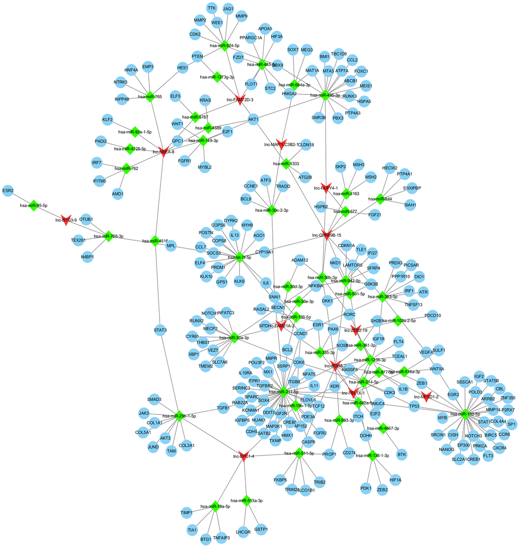 Regulation network of differentially expressed lncRNAs. lncRNA, long noncoding RNA.