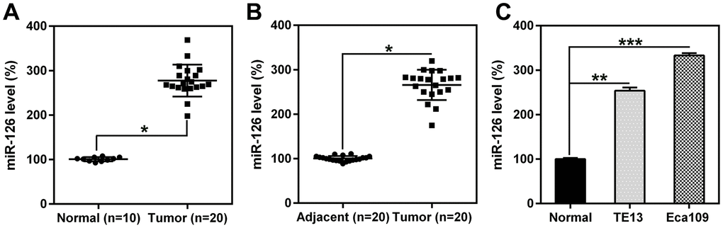 miR-126 levels in esophageal tissues from patients with ESCC and in ESCC cell lines. (A, B) miR-126 expression in ESCC (n = 20) and healthy (n = 10) specimens, compared to that in adjacent healthy pancreatic tissues (n = 20). (C) miR-126 expression in TE13 and Eca109 cell lines and healthy esophageal cells. Results are displayed as the average ± SD. *P 