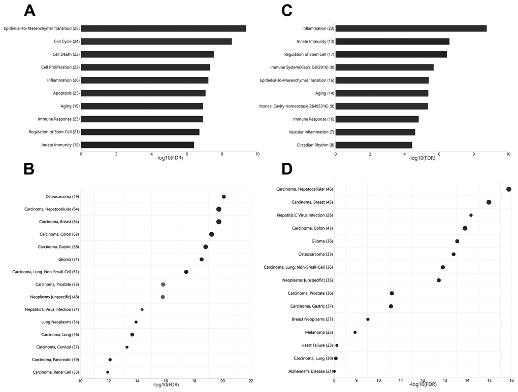 Functional and disease associations of deregulated arterial and venous miRNAs between aged and young rats. (A) Bar plot showing the functional association of deregulated venous miRNAs between aged and young rats. (B) Bubble plot showing the disease association of deregulated venous miRNAs between aged and young rats. (C) Bar plot showing the functional association of deregulated arterial miRNAs between aged and young rats. (D) Bubble plot showing the disease association of deregulated arterial miRNAs between aged and young rats. The number beside the function terms indicates the number of differentially expressed miRNAs associated with the corresponding function.