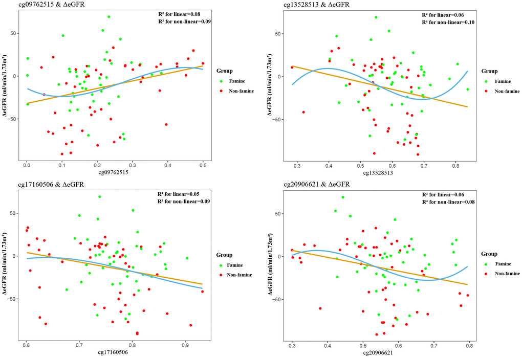 Association between epigenetic dysregulation in parental blood and ΔeGFR after fetal malnutrition. Correlation graphs of (y axis) ΔeGFR and (x axis) β values showing association between DNA methylation on cg09762515 (A), cg13528513 (B), cg17160506 (C), cg20906621 (D)and ΔeGFR in F1 generation.