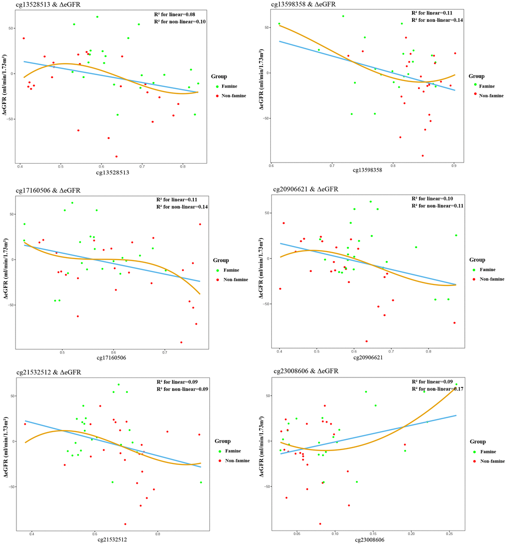 Association between epigenetic dysregulation in offspring blood and ΔeGFR after fetal malnutrition. Correlation graphs of (y axis) ΔeGFR and (x axis) β values showing association between DNA methylation on cg13528513 (A), cg13598358 (B), cg17160506 (C), cg20906621 (D), cg21532512 (E), cg23008606 (F) and ΔeGFR in F2 generation.