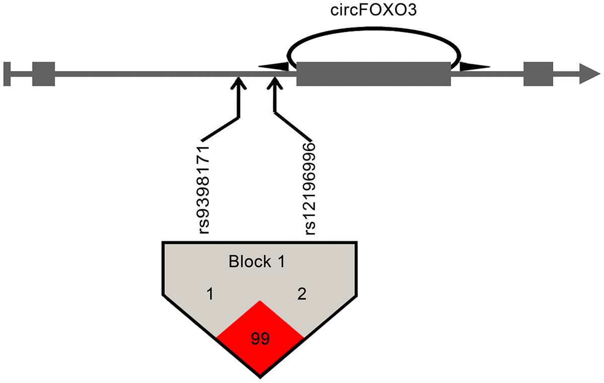 class="figure-viewer-img"