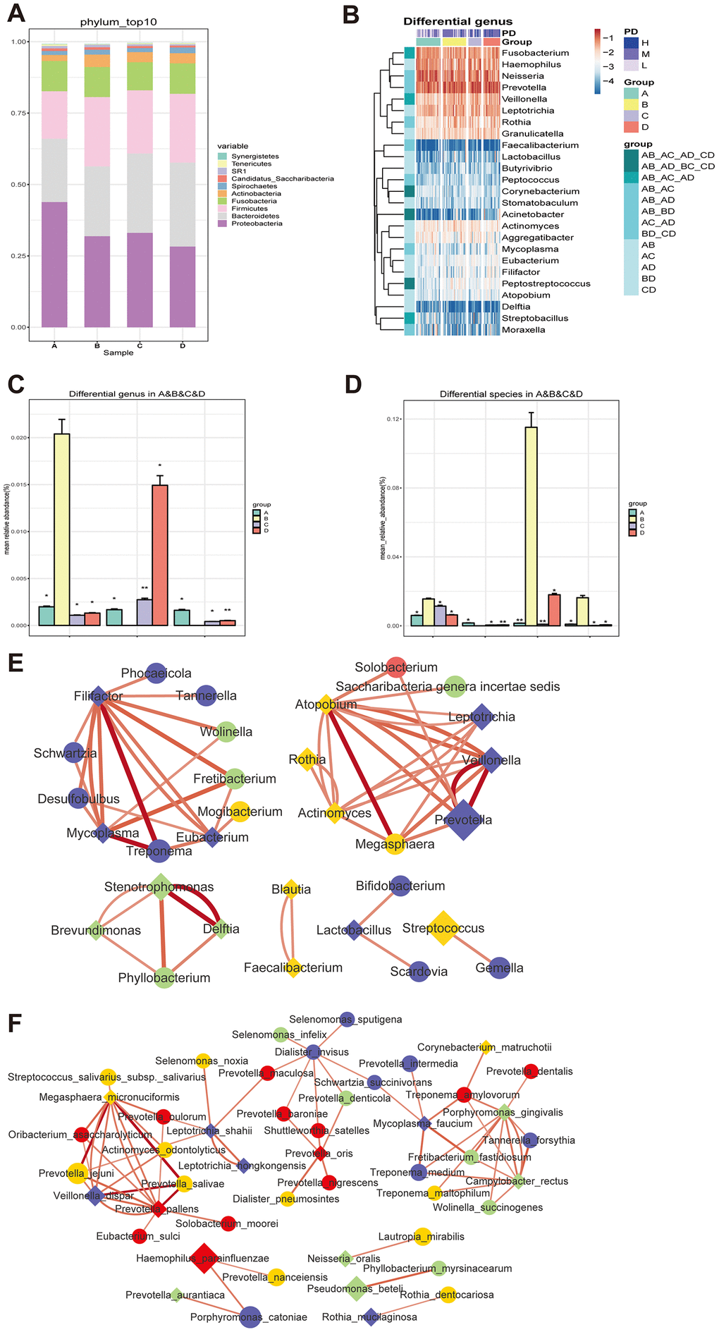 Changes of the salivary microbiota under the circumstance of diabetes and treatments. (A and B) The salivary microbiome in healthy people (Group A) and naïve diabetic patients (Group B) as well as diabetes treated with metformin (Group C) and combined medication (Group D) were compared at the phylum level; (C and D) the amount of three genera (Blautia, Cobetia and Nocardia) and four species (Blautia