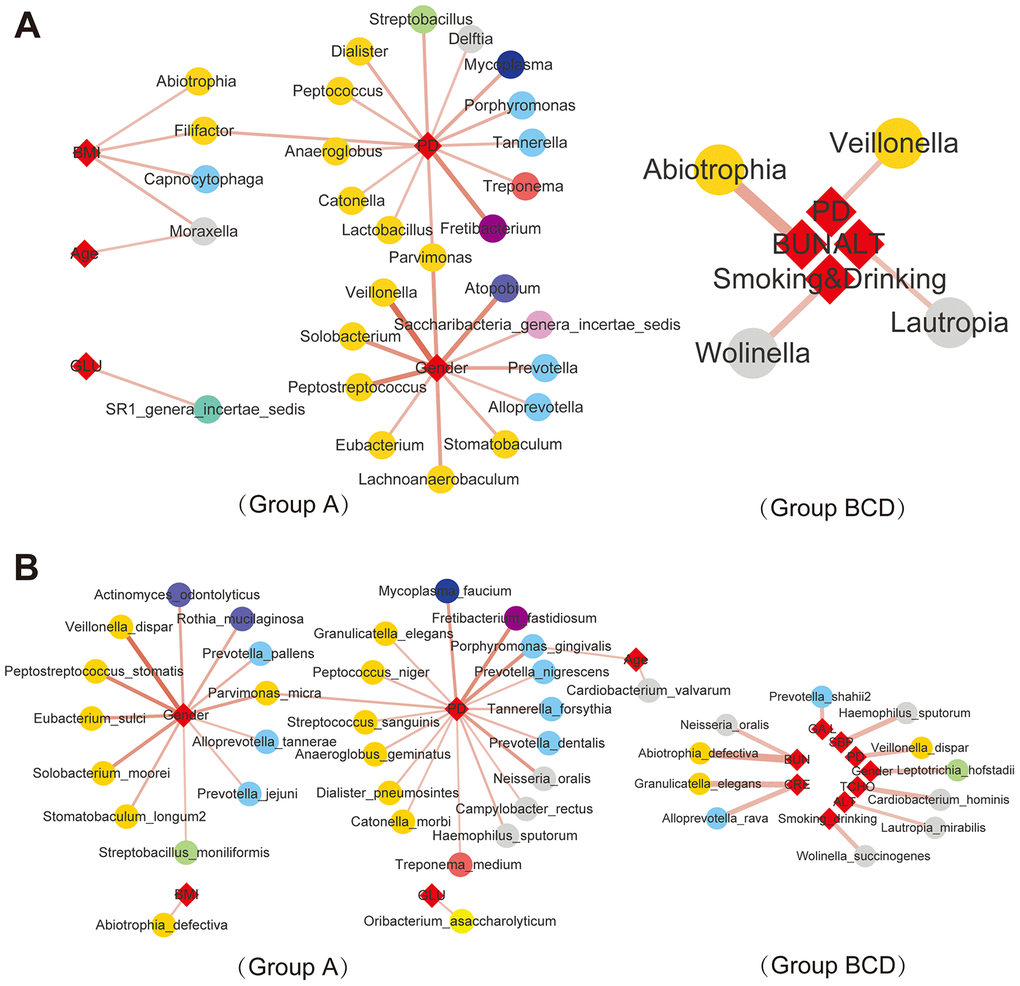 Correlations between salivary bacteria and clinical parameters. |Spearman correlation| ≥0.7 and q value≤0.01 analysis of the salivary microbiota at the genus (A) and species (B) levels with the abundance ≥ 0.02%.