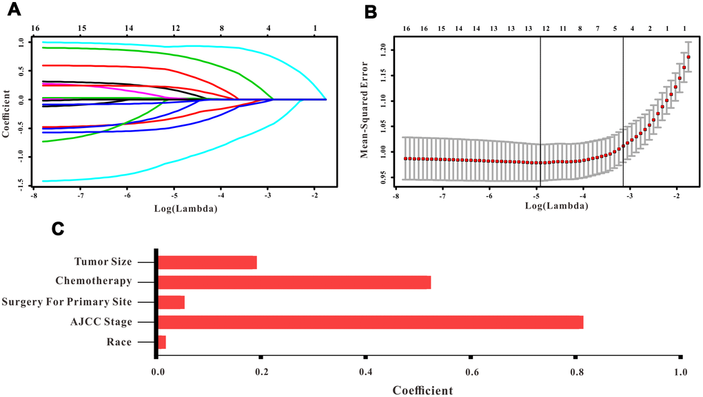 Selection of informative factors associated with OS using the LASSO Cox regression model. (A) LASSO coefficient profiles of 16 clinical features. (B) Selection of the tuning parameter (λ). (C) Histogram showing the coefficients of individual features that contribute to the survival nomogram.
