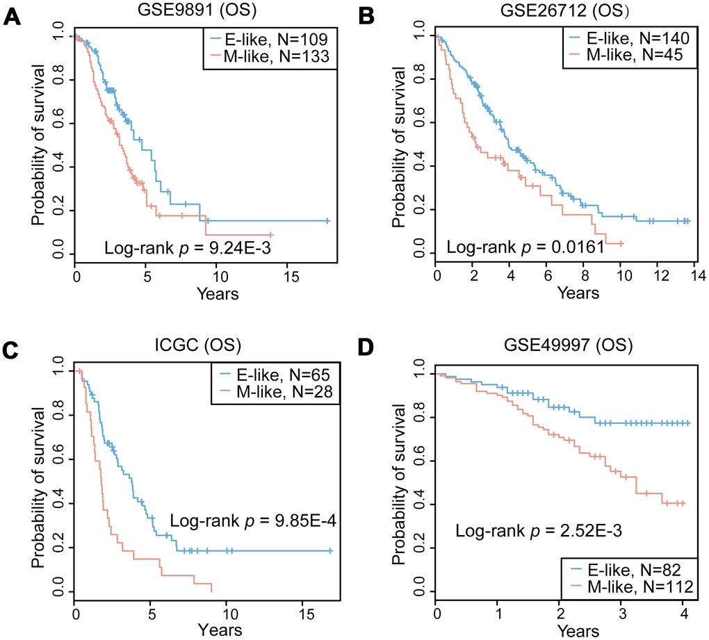 Prognostic performance of the 16-GPS in the OvCa cohorts. (A–D) Kaplan-Meier overall survival (OS) curves for the OvCa epithelial-like (E-like, blue) and mesenchymal-like (M-like, orange) phenotypes in GSE9891 (A), GSE26712 (B), ICGC (C), and GSE49997 (D) datasets.