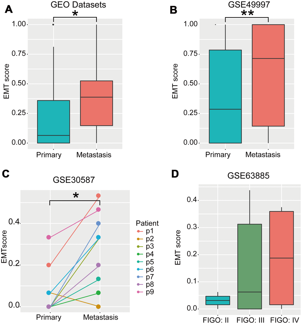 EMT scores were negatively correlated with metastasis. (A) Boxplot of EMT scores of primary and metastatic OvCa samples integrating the GSE52999, GSE73168, GSE18549, and GSE30587 datasets. (B) Boxplot of EMT scores in primary and metastatic OvCa samples (GSE49997). (C) Line chart of EMT scores in pair-wise primary and metastatic OvCa samples (GSE30587). (D) Boxplot of EMT scores in samples with different FIGO stages in OvCa (GSE63885). * P P 
