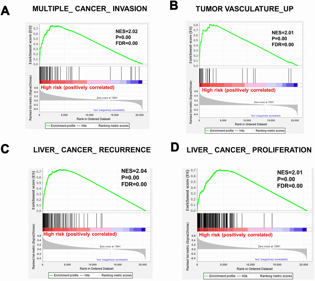 Gene sets significantly enriched between high-risk patients and low-risk patients, determined using GSEA. (A) MULTIPLE