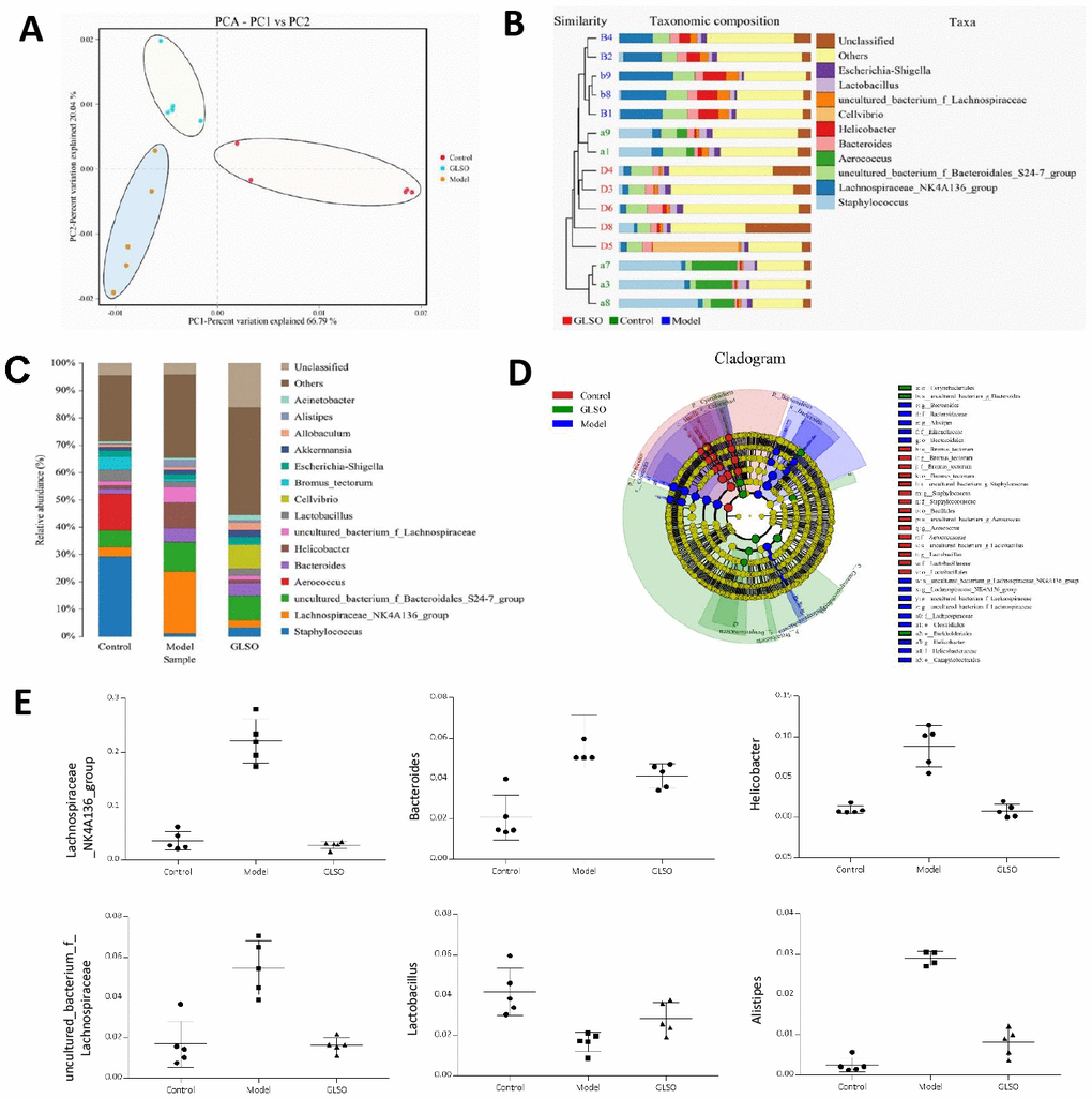 Skin microbiota has a significant difference between the model group and GLSO group on day 5. (A) Principal Component Analysis (PCA) which used variance decomposition to reflect the differences between multiple groups of data on a two-dimensional coordinate chart showed differences in clustering of microbial communities. (B) Unweighted Pair-group Method with Arithmetic Mean (UPGMA) analysis combined with histogram of species distribution in genus level was used to present the microbial similarities of each group and relative abundance. (C) Histogram of species distribution was used to compare the differences of relative abundance in genus levels between different groups. Line Discriminant Analysis Effect Size (LEfSe) analysis showed significant dominant bacteria on each group (D) and the abundance of six of these bacteria in genus levels (E). All analysis above were based on unweighted UniFrac.