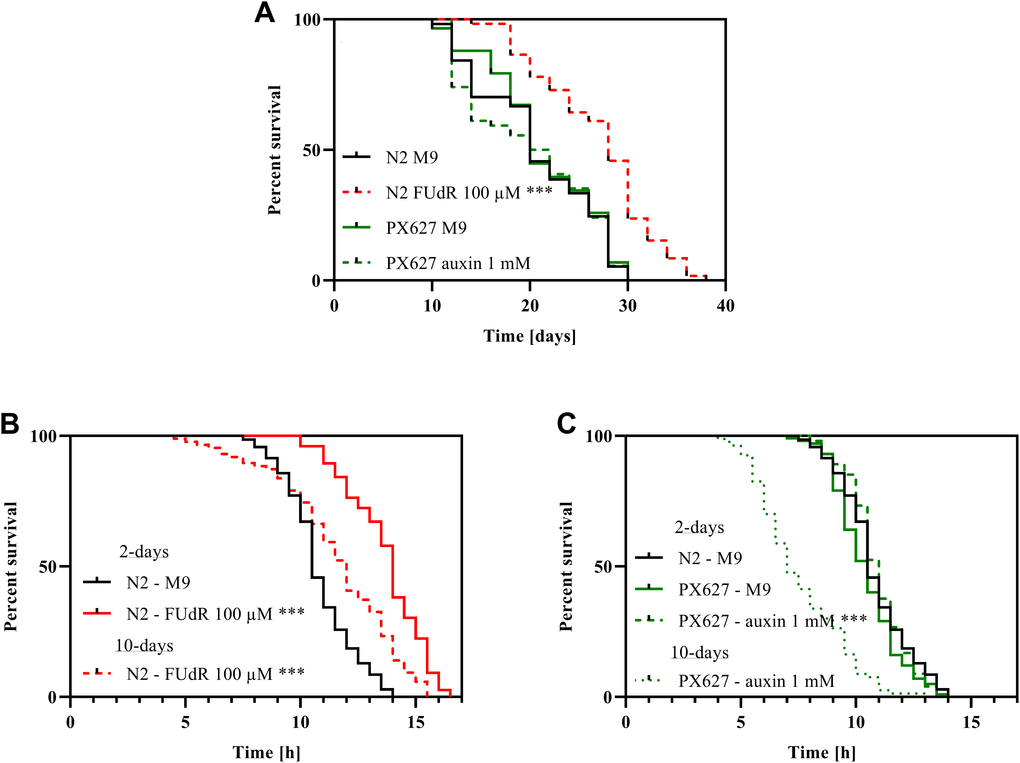 Survival and stress-resistance: Survival (A) and heat-stress resistance (B, C) of wild-type N2 and PX627 nematodes unfertilized with either FUdR for N2, or auxin for PX627, at 20°C for physiological and 37°C for stress resistance assessment; n > 54; log-rank (Mantel-cox) test; p*** 