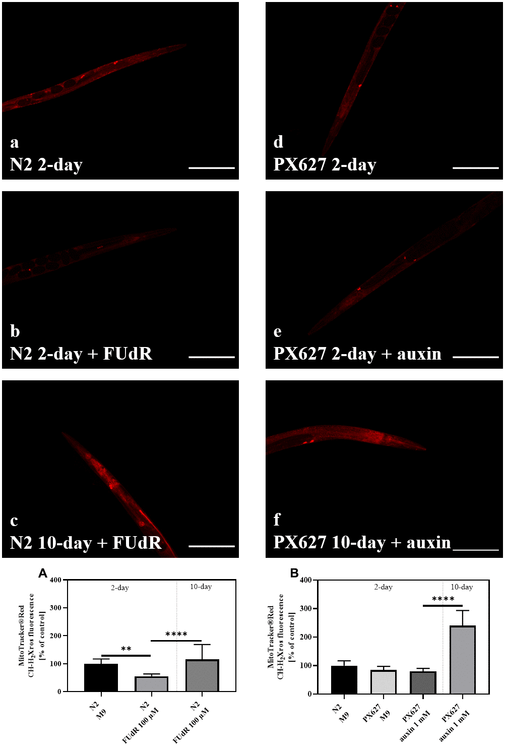 class="figure-viewer-img"