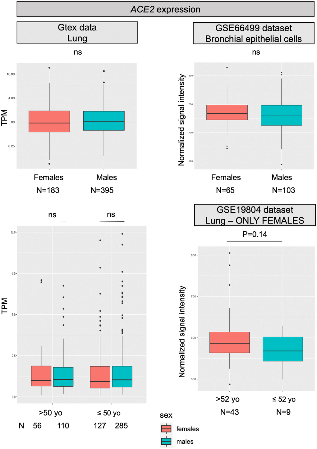 ACE2 expression levels. All panels show ACE2 mRNA expression levels in human normal lung samples stratified according to sex (or on sex and age). On left panels, data were retrieved for a total of 578 RNAseq experiments from the GTex repository. Expression levels are reported as transcripts per kilobase million (TPM). On the right, data were collected from two different datasets (GSE66499 and GSE19804) from the GEO database. Expression levels are reported as normalized signal intensities. P values were calculated by using either the Kruskal-Wallis or the student t test, using the R software (https://www.r-project.org/).