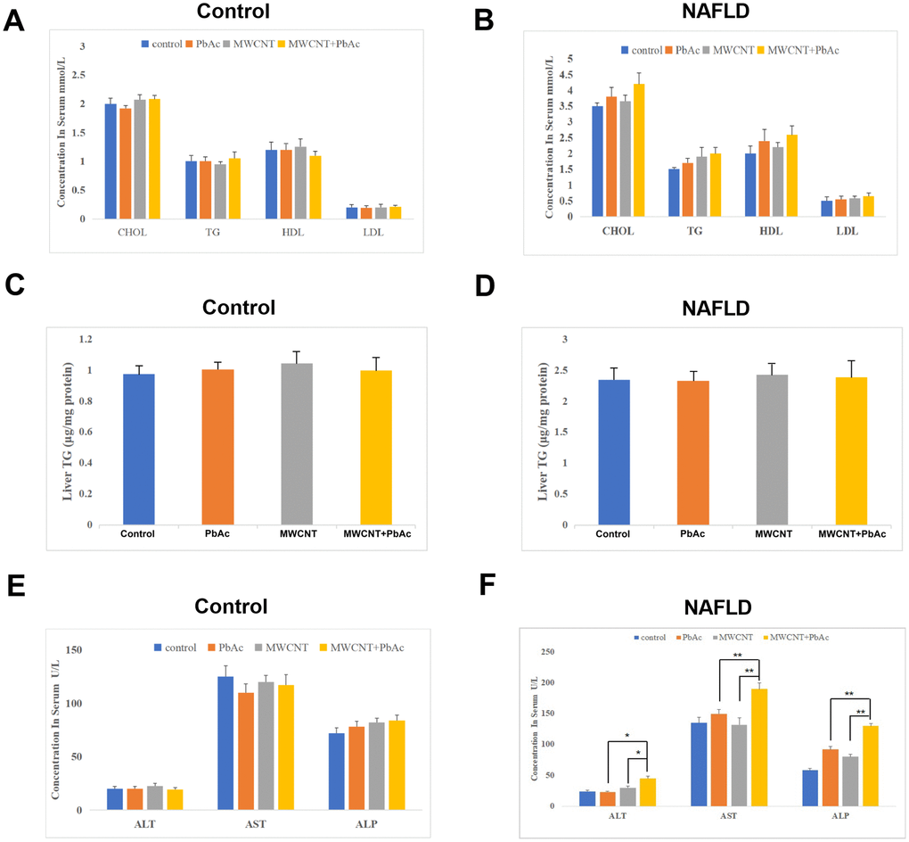 Combined administration of MWCNTs and PbAc significantly damaged the liver function in NAFLD mice. The effects of low dose of PbAc, MWCNTs or MWCNTs + PbAc on the serum levels of CHOL, TG, HDL, LDL (A, B) and the TG expression levels in liver tissues (C, D) in the control and NAFLD mice. (E, F) Changes in the serum levels of ALT, AST and ALP in the control and NAFLD mice upon the low dose of PbAc, MWCNTs or MWCNTs + PbAc administration (*P