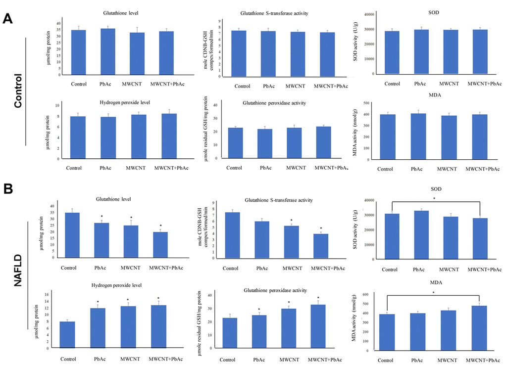 Combined administration of MWCNTs and PbAc resulted in hepatic lipid peroxidation by inducing antioxidant defense system dysfunction. (A, B) Alterations in SOD, GST, GPx activities as well as GSH, hydrogen peroxide, MDA levels in the control and NAFLD mice livers exposed to the low dose of PbAc, MWCNTs or MWCNTs + PbAc administration (*P