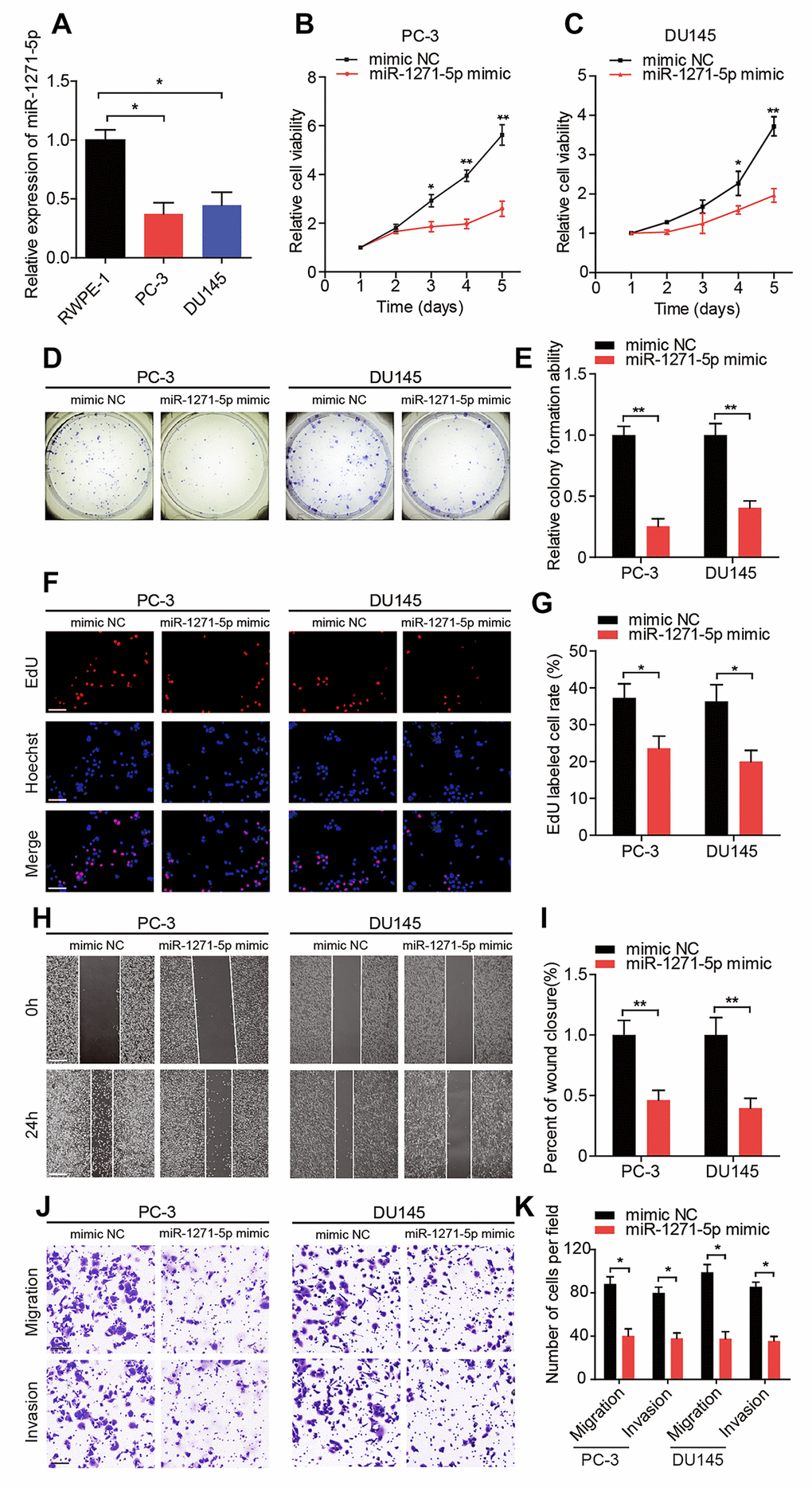 miR-1271-5p functions as a tumor suppressor in vitro. (A) qRT-PCR analysis of miR-1271-5p expression in RWPE-1, PC-3, and DU145 cells. (B, C) CCK-8 assay determined the cell viability in PC-3 and DU145 cells treated with miR-1271-5p mimic. (D, E) Representative images and quantification of colony formation assays in PC-3 and DU145 cells treated with miR-1271-5p mimic. (F, G) Representative images and quantification of EdU assays in PC-3 and DU145 cells treated with miR-1271-5p mimic. Scale bars: 100 μm. (H, I) Representative images and quantification of wound healing assays in PC-3 and DU145 cells treated with miR-1271-5p mimic. Scale bars: 200 μm. (J, K) Representative images and quantifications of transwell assays in PC-3 and DU145 cells treated with miR-1271-5p mimic. Scale bars: 100 μm. Data are displayed as mean ± SD. *p p 