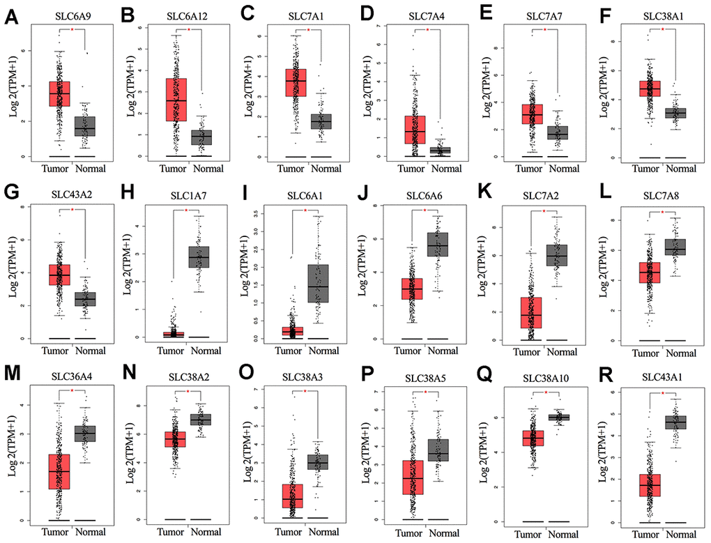 (A–R) mRNA expression levels of SLC family members in ovarian cancer (426 samples) and normal ovarian tissues (88 samples) (GEPIA). *P 