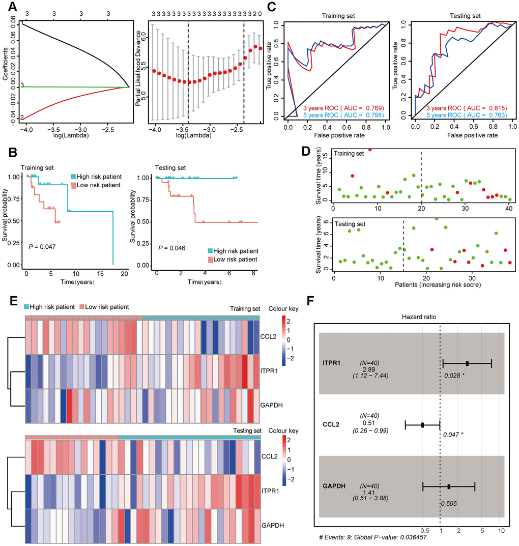 Construction and Validation of the prognostic risk model in Her-2 BRCA patients. (A) Lasso regression analyses of DEARGs using the OS model. The Lasso regression was performed using prognosis-significant DEARGs in the training dataset of Her-2 BRCA. (B) Kaplan-Meier plot represents that patients in the high-risk group had a significantly shorter overall survival time than those in the low-risk group. left, training dataset, right, testing dataset. (C) Time-dependent ROC curve analyses showing AUC values for OS in BRCA patients. Left, training dataset, right, testing dataset. (D) Dot plots showing the survival time and risk score in training set and testing set. (E) The heatmap of the 3 key genes expression profiles in the training dataset and testing dataset. (F) Forest plot showing the multivariable Cox regression analysis of 4 key genes in risk-model.