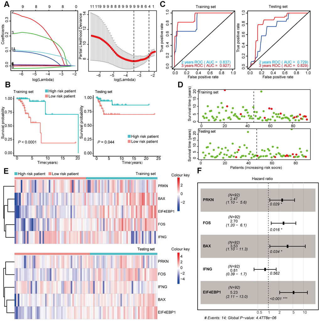 Construction and Validation of the prognostic risk model Basal-like BRCA patients. (A) Lasso regression analyses of DEARGs using the OS model. The Lasso regression was performed using prognosis-significant DEARGs in the training dataset of Basal-like BRCA. (B) Kaplan-Meier plot represents that patients in the high-risk group had a significantly shorter overall survival time than those in the low-risk group. left, training dataset, right, testing dataset. (C) Time-dependent ROC curve analyses showing the AUC values for OS in BRCA patients. Left, training dataset, right, testing dataset. (D) Dot plots showing the survival time and risk score in training set and testing set. (E) The heatmap of the 5 key genes expression profiles in the training dataset and testing dataset. (F) Forest plot showing the multivariable Cox regression analysis of 4 key genes in risk-model.