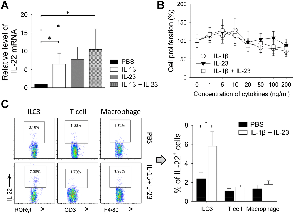 IL-1β and IL-23 increased levels of IL-22 and IL-22-producing ILC3s in 4T1 tumor. (A, B) In 4T1 model, tumors were collected from mice treated by rmIL-1β (20 μg/kg) and/or rmIL-23 (20 μg/kg) on day 21. (A) Total RNAs were extracted from tumor tissues and qPCR was applied to analyze levels of IL-22 mRNA (n=4). Data represent fold changes. (B) Flow cytometry was applied to analyze IL-22-positive cells in ILC3, macrophage and T-cell (n=4). (C) 4T1 cells were cultured with different doses of rmIL-1β and/or rmIL-23 for 24 h. Cells cultured without cytokines were used as control. Cell proliferation was measured with CCK-8 assay (n=6). Data are mean ± SD, compared using unpaired t test or one-way ANOVA test. *, p 