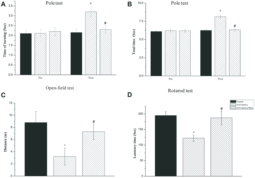 Mino administration could inhibit the motor and non-motor deficits. (A, B) Mino administration effects on the behavior in the pole test. (C) Mino administration effects on the behavior in the open-field test. (D) Mino administration effects on the behavior in the rotarod test. *P P 