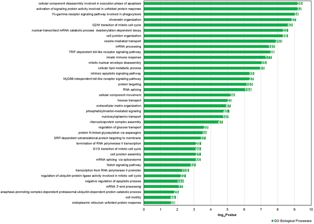 GO enrichment analysis for 46 DE common miRNAs identified by two normalization methods. Bar chart representing the most highly statistically enriched Gene Ontologies, in terms of Biological Processes, for DE miRNA targets in female reproductive aging. The x-axis represents the -log10(P-value). The number of target genes in each GO category is shown.