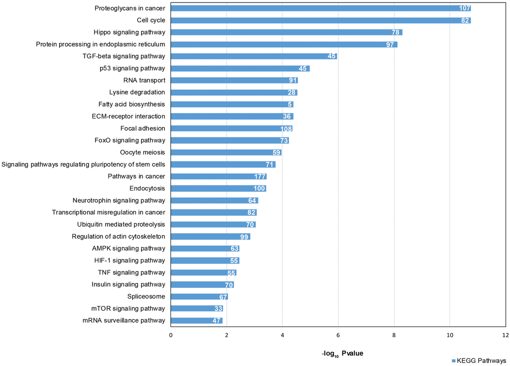 Signaling Pathway enrichment analysis for 46 DE common miRNAs with KEGG. The x-axis represents the -log10(P-value). The number of target genes in each molecular pathway is shown.