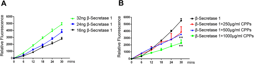 CPPs attenuated the activity of active recombinant human β-Secretase 1 in vitro. (A) The activity of active recombinant human β-Secretase 1 (BACE1) was measured using β -Secretase Activity Fluorometric Assay Kit. Time curves for 32ng, 24ng and 16ng β-Secretase 1 were shown. Data were from three independent experiments. (B) 32ng active recombinant human β-Secretase 1 and indicated concentration of 250, 500, 1000 μg/ml CPPs were pre-incubated for one hour. BACE1 activity was measured. Data were from three independent experiments. P value significance is calculated from a one-way ANOVA or two-way ANOVA. **P 