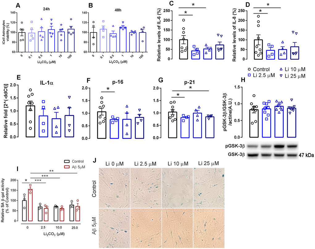 Effects of increasing lithium concentrations on cell viability and induction of senescence and the SASP in human iPSC-derived astrocytes. (A, B) cell viability measured by the MTT assay. Data are expressed as individual points, mean and SEM; performed in triplicate. (C, D) Relative levels of secreted IL-6 and IL-8. Conditioned media was collected 24h following induction of senescence with 1% FBS and data was normalized to cell number. (E–G) RNA isolated from human iPSCs-derived astrocytes was analyzed for IL-1α, p16INK4a and p21 mRNA levels by qPCR. Transcripts were normalized to actin and are shown as fold change over control levels. (H) GSK-3β activation measured as the proportion of phosphorylated and total GSK-3β. Data are expressed as individual points, mean and SEM. (I) SA β-gal in iPSC-derived astrocytes in the absence and presence of Aβ with increasing concentrations of lithium. Values show relative amounts of SA β-gal positive cells in three independent experiments. (J) Representative panels of SA-β gal staining under various treatment conditions.*pC–H), data are expressed as individual points, mean and SEM of 4-5 independent experiments.