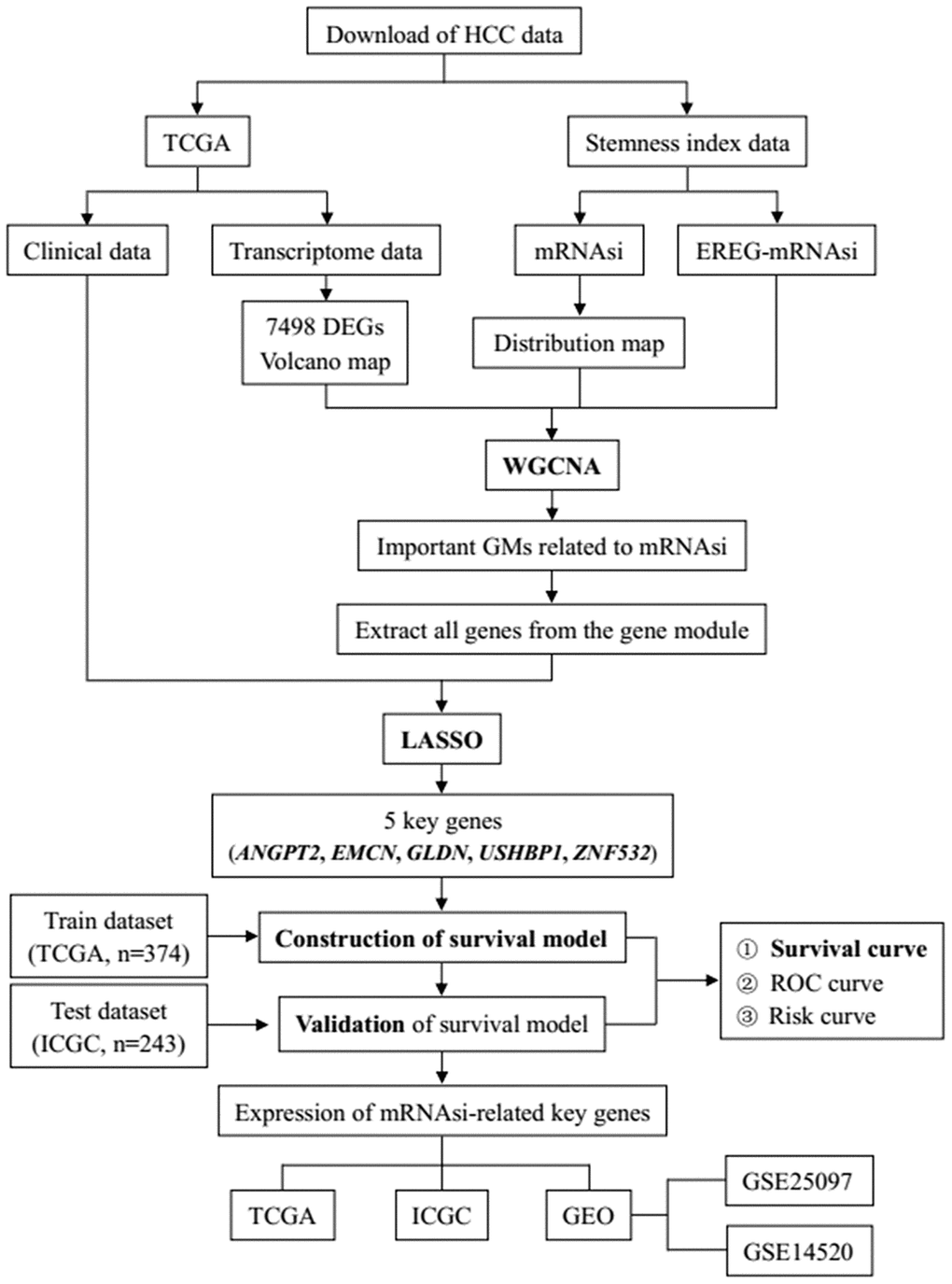 The flowchart of HCC data preparation, processing, analysis and validation.