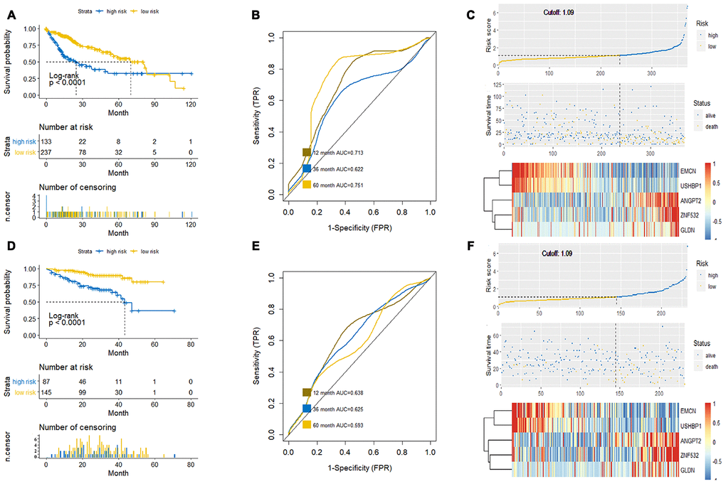 Verification of the prognostic prediction accuracy of the new survival model. (A, C) The Kaplan-Meier survival curve (A), ROC curve (B) and Risk curve (C) analyses of the high-risk and low-risk HCC patients of the training dataset from the TCGA database based on the new survival model is shown. (D–F) The Kaplan-Meier survival curve (D), ROC curve (E) and Risk curve (F) of the high-risk and low-risk HCC patients in the test dataset from the ICGC database based on the new survival model is shown. The horizontal axis of the Kaplan-Meier survival curve is survival time (month) and the vertical axis is patient survival, which is used to evaluate the prognostic prediction ability of the new model (P 