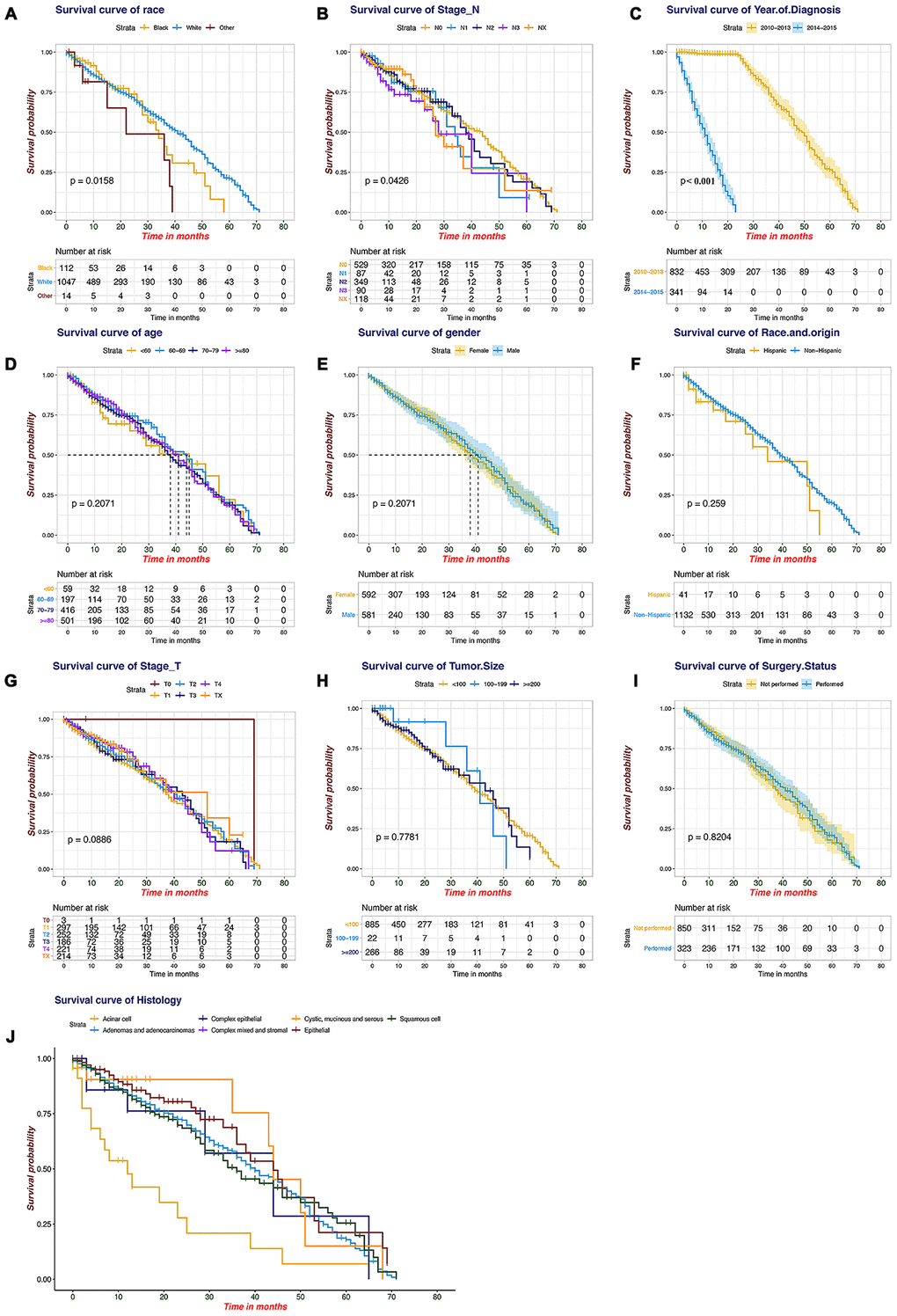 Kaplan-Meier plots for the survival of the SEER patients. (A) Race, (B) stage