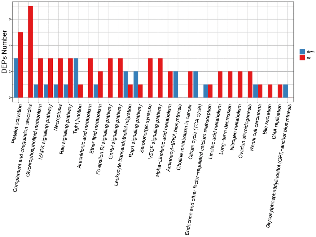 Cluster analysis chart of the identified DEPs. Higher red and blue intensities indicate higher degree of upregulation and downregulation, respectively.