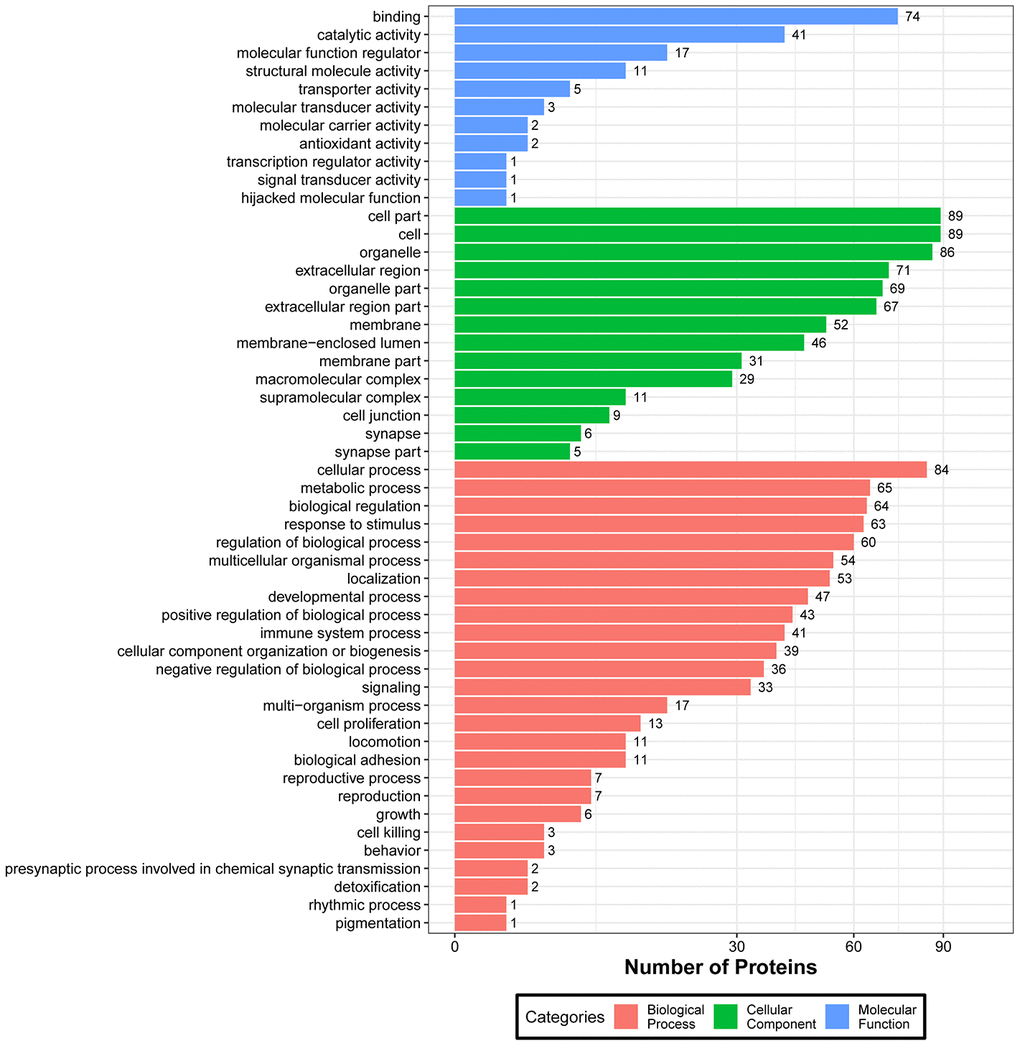 KEGG pathway classification of DEPs. The x-axis represents pathway annotation entries, and the y-axis represents the number of DEPs enriched for each pathway term.