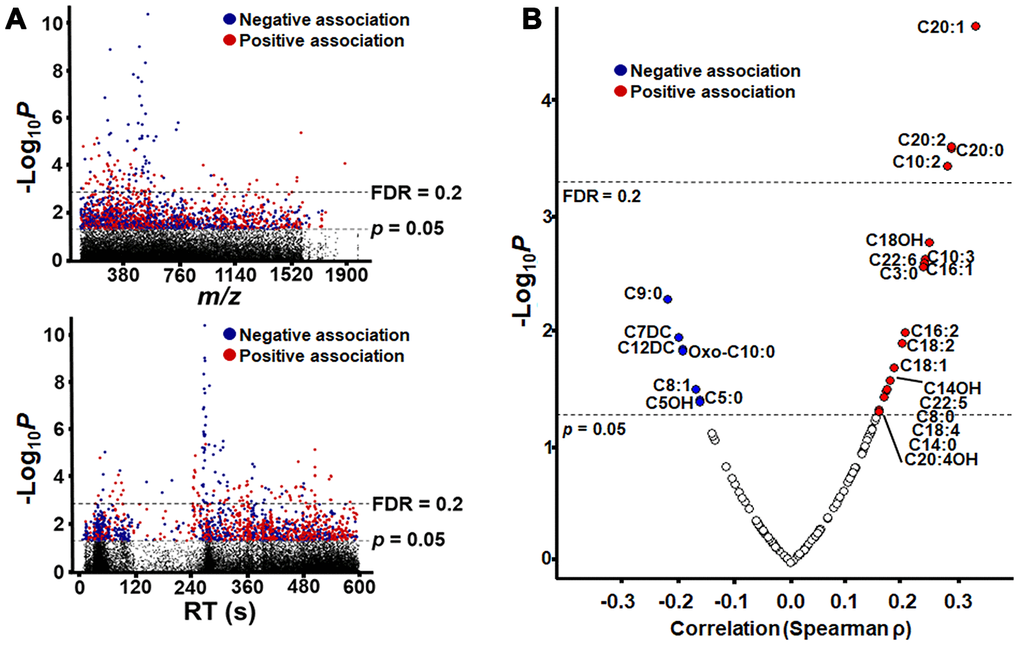 Metabolome-Wide Association Study (MWAS) of plasma metabolites correlated with age. (A) Type 1 Manhattan plot showing -log10p for correlation of each metabolite plotted by m/z (mass-to-charge ratio) and type 2 Manhattan plot showing -log10p for correlation of each metabolite plotted by chromatographic retention time (RT) in seconds, as separated the C18 column. Plots are shown with significance (n = 1505, p = 0.05) and false discovery rate (n= 140, FDR = 0.2) thresholds by dashed lines, and the detailed information of metabolic features is provided in Supplementary Table 1. (B) Plot of acylcarnitine correlation strength and direction (Spearman ρ) by –Log10 p. Acylcarnitines with p Table 1 for details). For acylcarnitines detected on both C18 and anion exchange columns, only the C18 data is represented in the plot. The plot is shown with significance (n = 26, p = 0.05) and false discovery rate (n= 4, FDR = 0.2) thresholds by dashed lines In all plots, significant negative correlations are shown in blue, and significant positive correlations are shown in red.