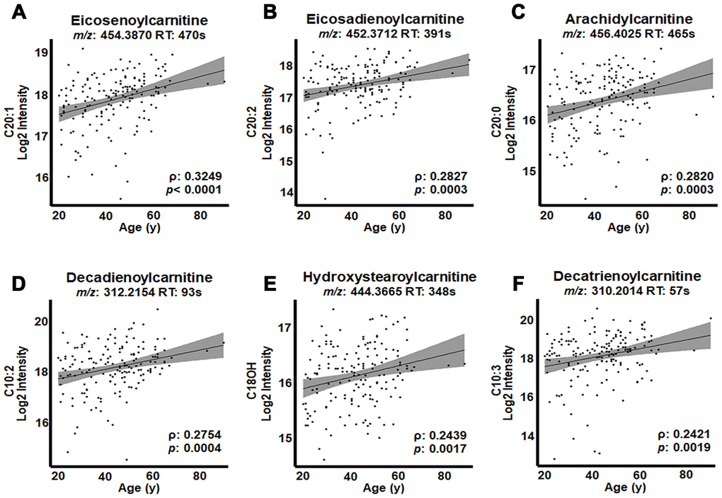 Highest correlations of acylcarnitines with age in human plasma. Log2 transformed intensity values for ions, identified by mass-to-charge ratio (m/z) and retention time (RT) for individual plasma samples are plotted against individual ages. Confidence intervals (95%) are shown in gray. (A) Eicosenoylcarnitine (C20:1), (B) eicosadienoylcarnitine (C20:2), (C) arachidylcarnitine (C20:0) and (D) decadienoylcarnitine (C10:2) were significant at FDR = 0.2. (E) Hydroxystearoylcarnitine (C18OH) and (F) decatrienoylcarnitine (C10:3) were significant at p 