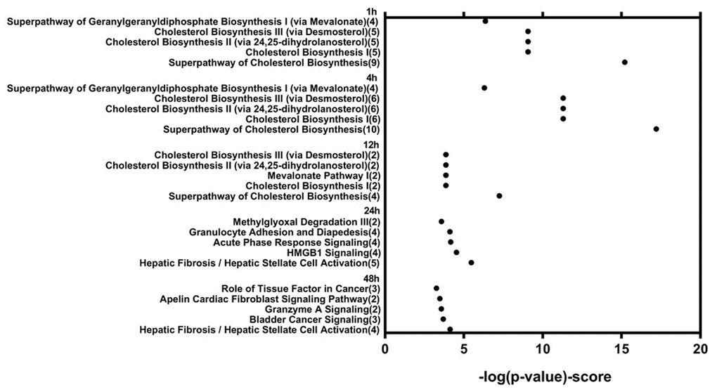 Functional analysis of differentially expressed genes in human cardiomyocytes after 1, 4, 12, 24, and 48 hours of cyclic stretching.