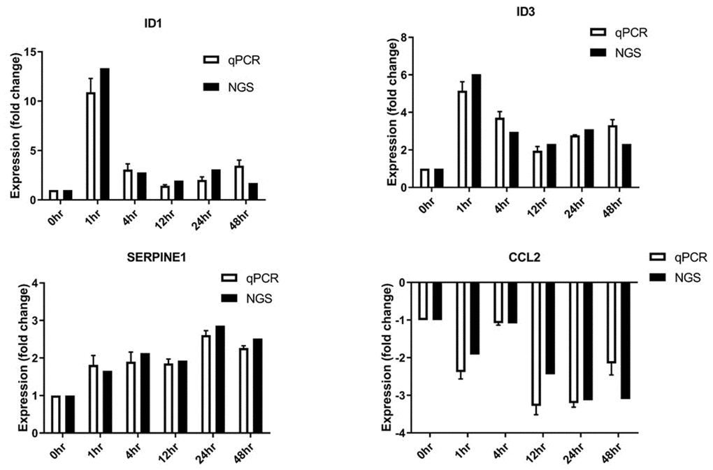 Differentially expressed genes validated by RT-qPCR. SERPINE1, ID1, ID3, and CCL2 mRNA levels were analyzed (n = 3 in all groups).