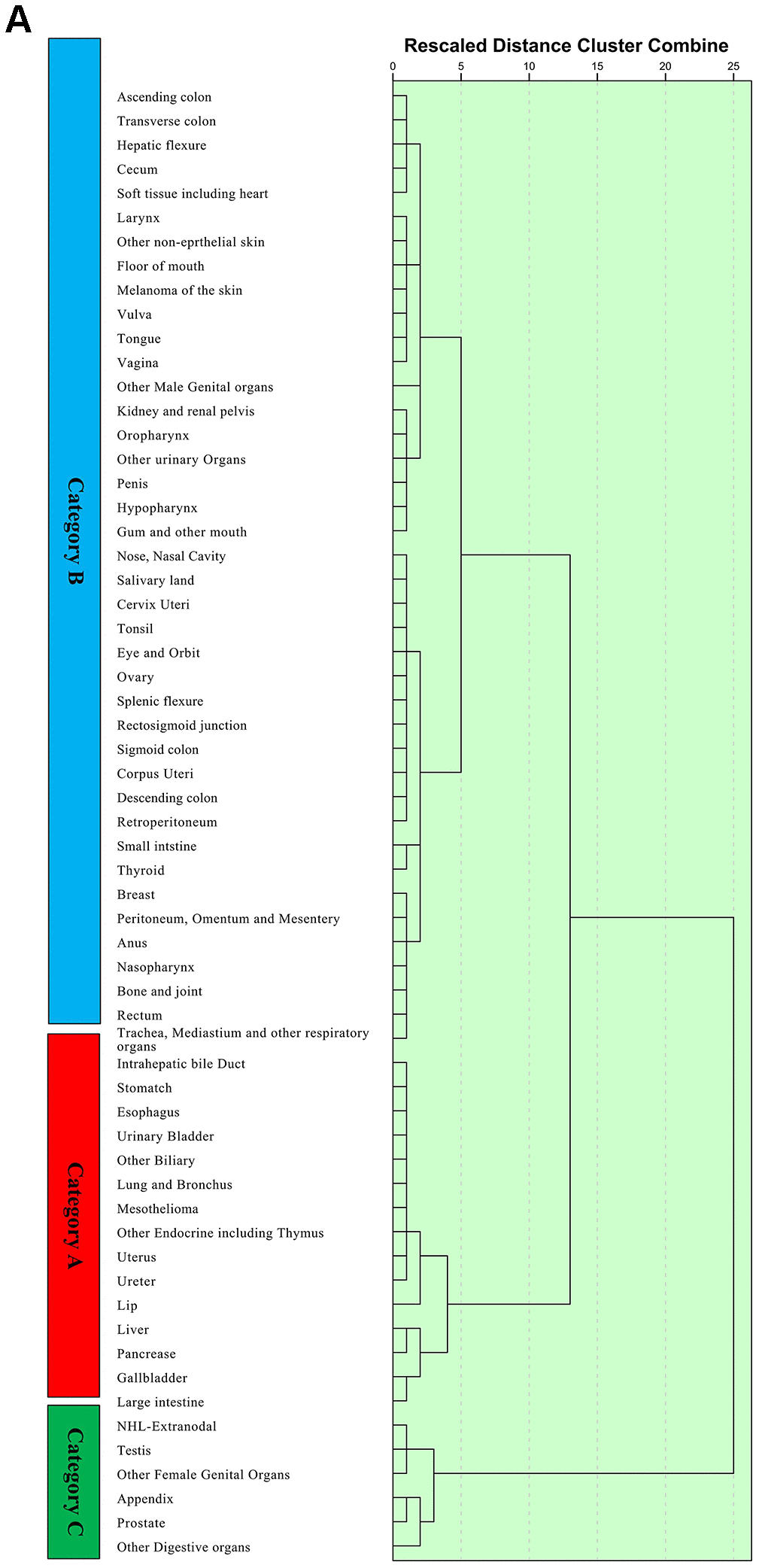 Unsupervised hierarchical cluster analysis for the classification of metastatic cancer types (A) and the differences in survival among these three categories in the construction cohort (B) and validation cohort (C). All 61 metastatic cancer types were sub-grouped into three categories, namely, categories (A–C) and the Kaplan-Meier analysis suggested that there were significant differences in prognoses among these categories. Additionally, the survival differences among these categories were validated in the validation cohort.