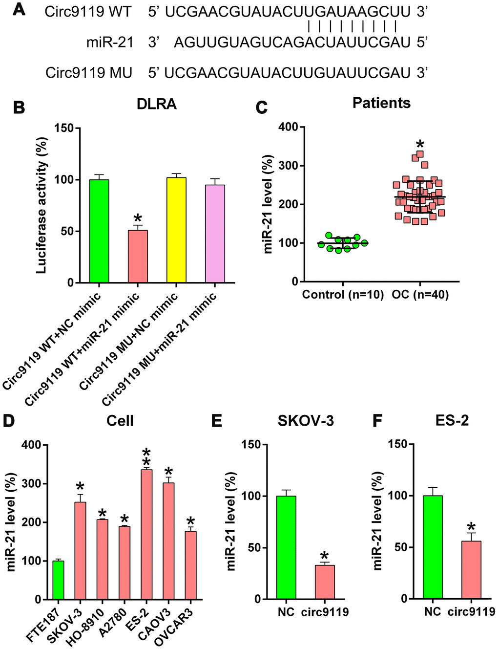 circ9119 targets miR-21. (A) Bioinformatics forecasting showed an miR-21 binding site in the circ9119 RNA sequence. (B) DLRA was conducted and a luciferase reporter containing WT or mutant circ9119 and the miR-21 mimic were subsequently cotransfected into HEK293T cells. (C) qRT–PCR displayed the miR-21 expression in HCC samples (n = 40) and paired adjacent normal healthy control samples (n = 10). (D) qRT–PCR displayed miR-21 expression in FTE187 and OC cell lines. (E, F) ES-2 and SKOV-3 cells were transfected with circ9119 overexpressing or NC vector. qRT–PCR examined miR-21 expression. n = 3. *P 