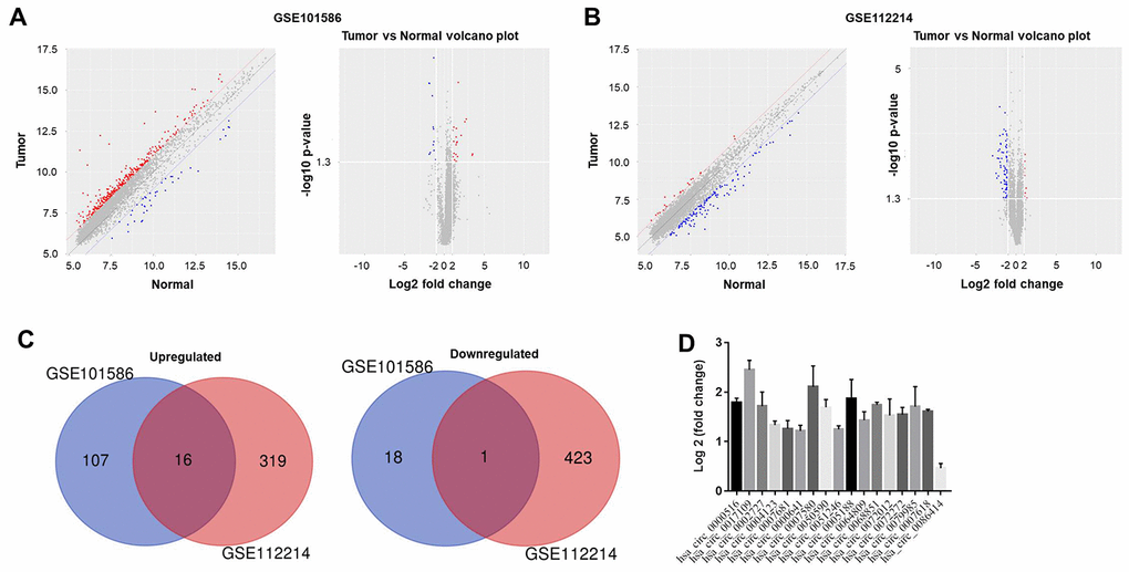 Differentially expressed circRNAs in NSCLC. The differentially expressed circRNAs between NSCLC tissues and adjacent normal tissues in (A) GSE101586 or (B) GSE112214 were assessed using principal component analysis and a volcano plot. Red indicates high expression while blue indicates low expression. (C) Among the differentially expressed circRNAs in GSE101586, 18 were downregulated and 107 were upregulated in NSCLC tissues. In GSE112214, 423 circRNAs were downregulated and 319 were upregulated in NSCLC tissues. (D) The overlapping differentially expressed circRNAs between GSE101586 and GSE112214 were analyzed.